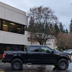 Alternative view of 2018 F150