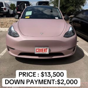 pink 2025 Tesla Model Y