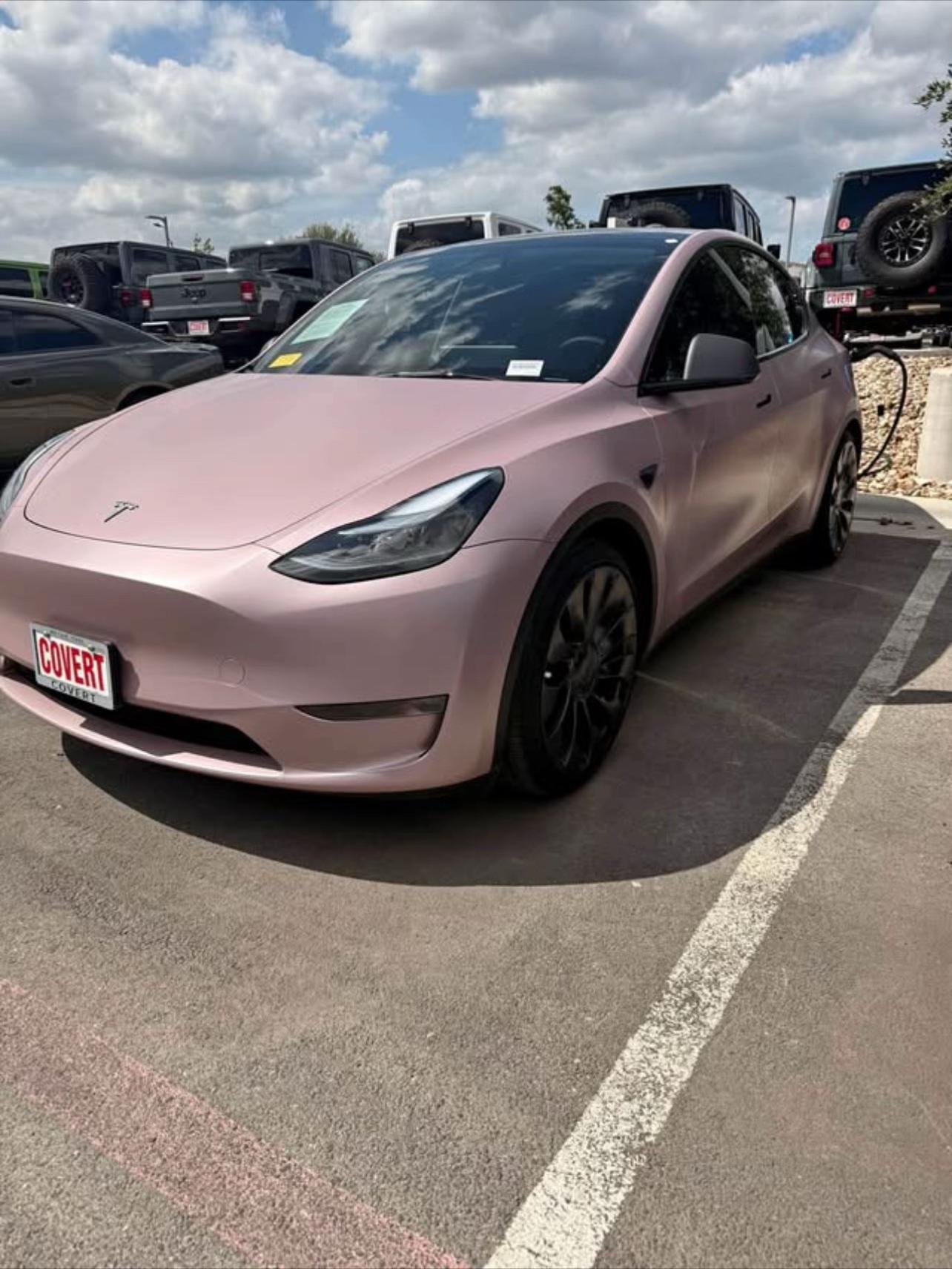 pink 2025 Tesla Model Y - Image 3