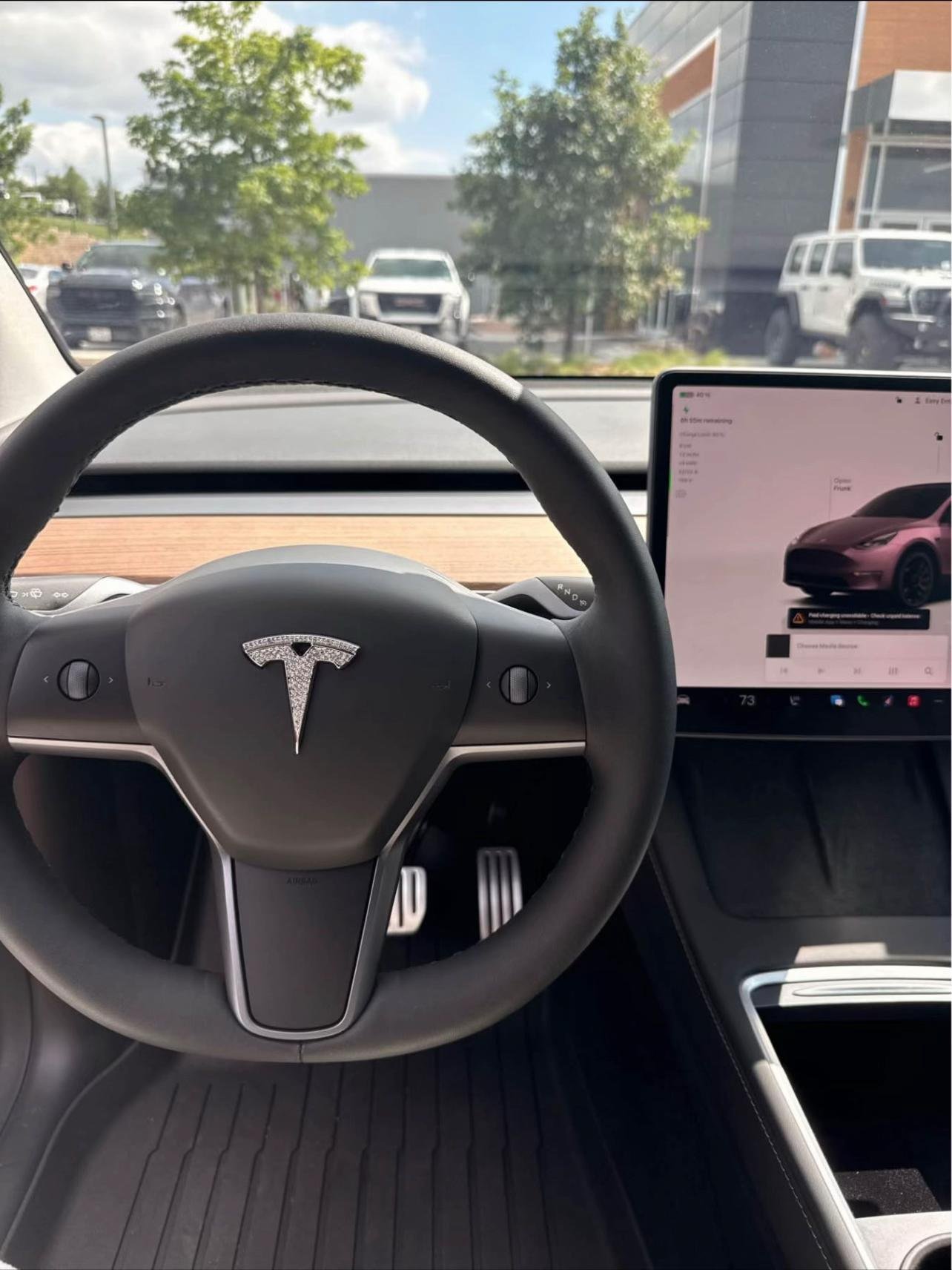 pink 2025 Tesla Model Y - Image 4