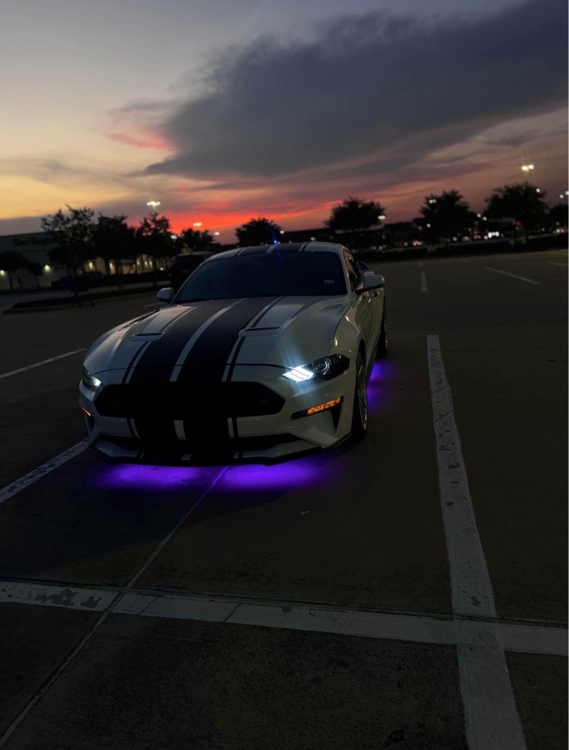 2020 Ford Mustang EcoBoost Premium – Sporty & Smooth Ride - Image 5