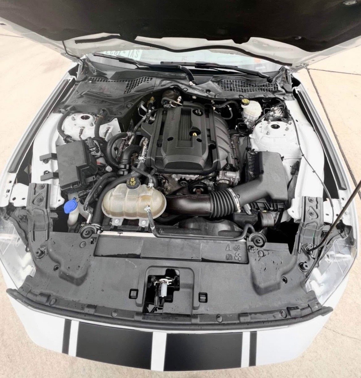 2020 Ford Mustang EcoBoost Premium – Sporty & Smooth Ride - Image 9
