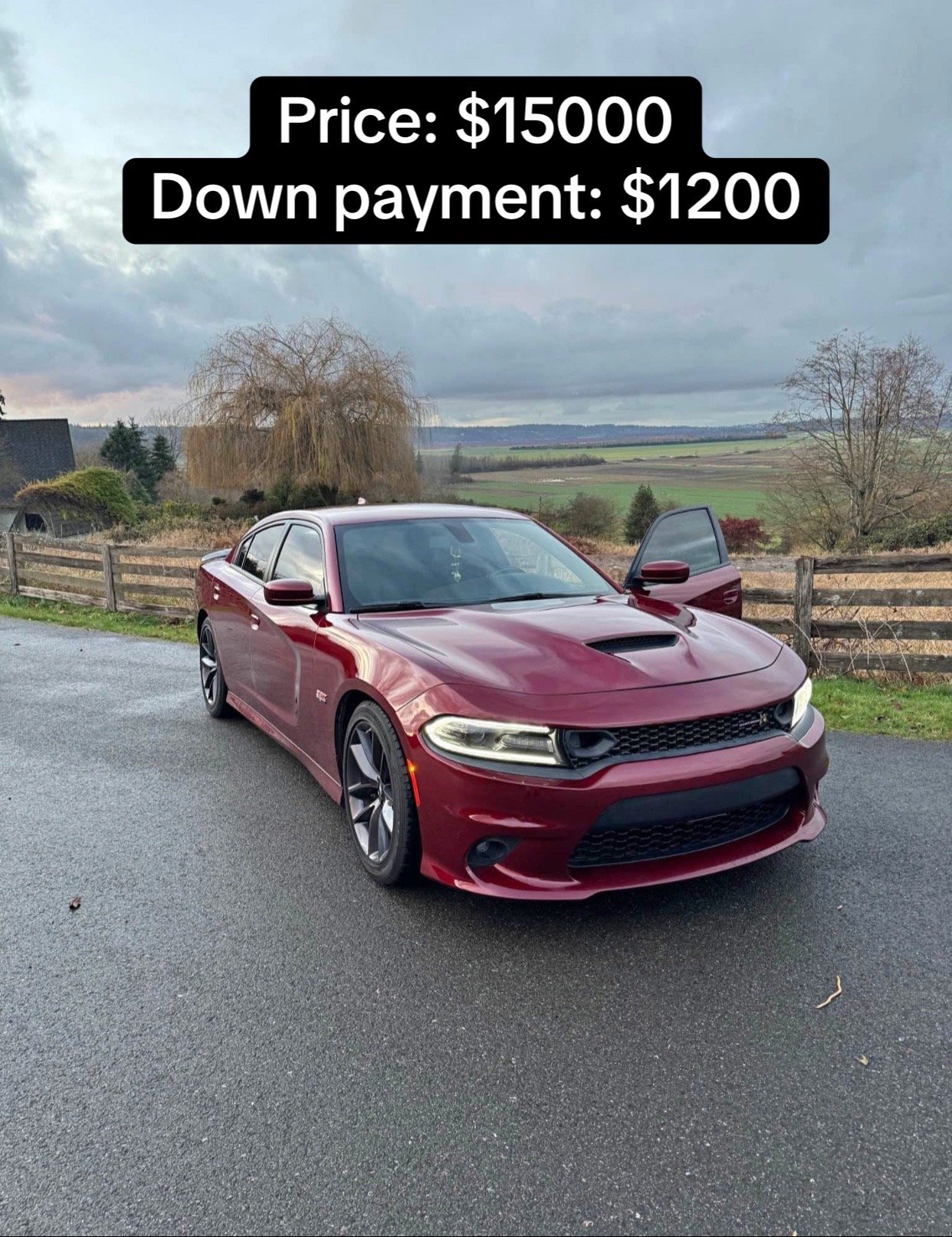 2019 Dodge Charger 392 Scat Pack in burgundy