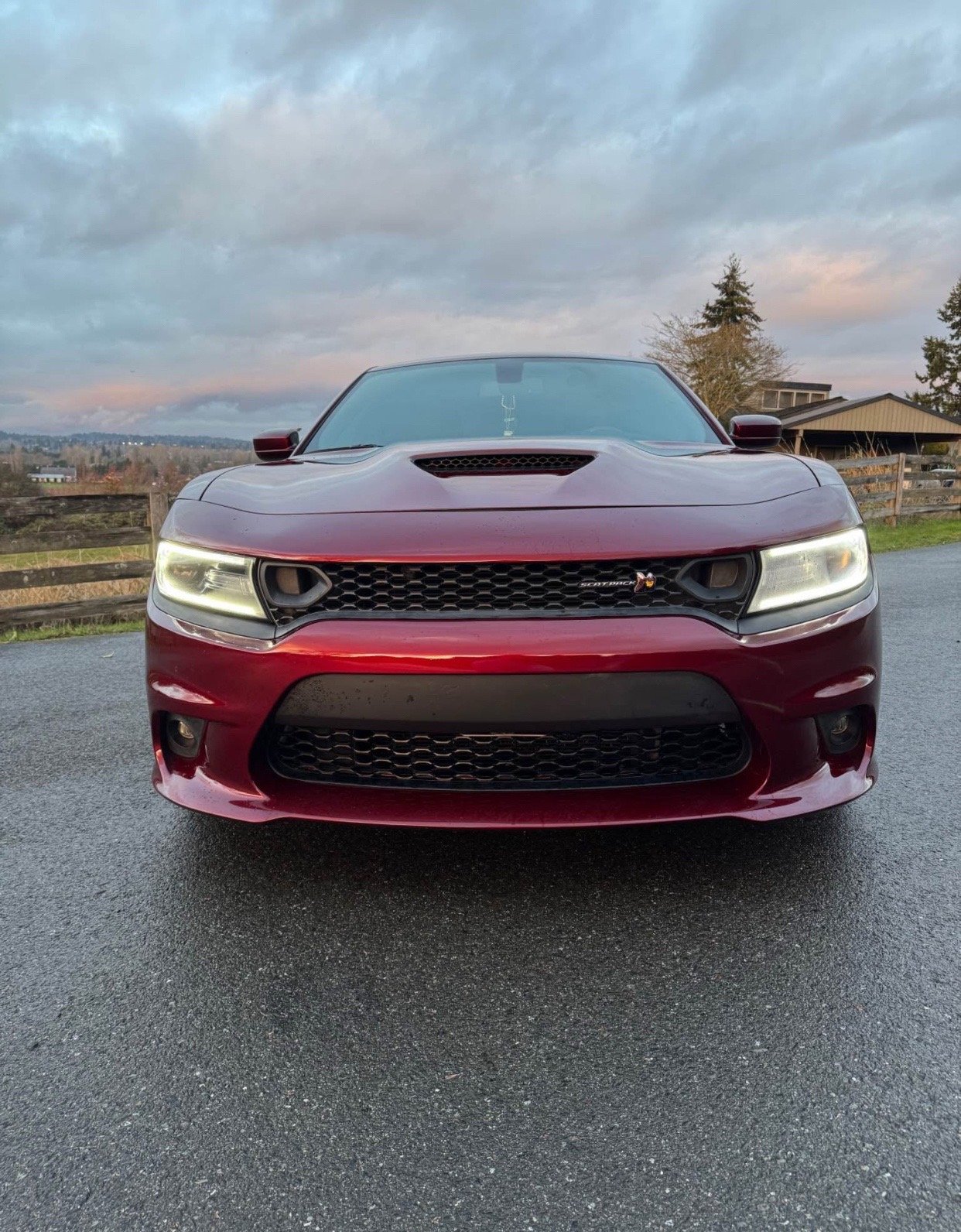 2019 Dodge Charger 392 Scat Pack in burgundy - Image 6