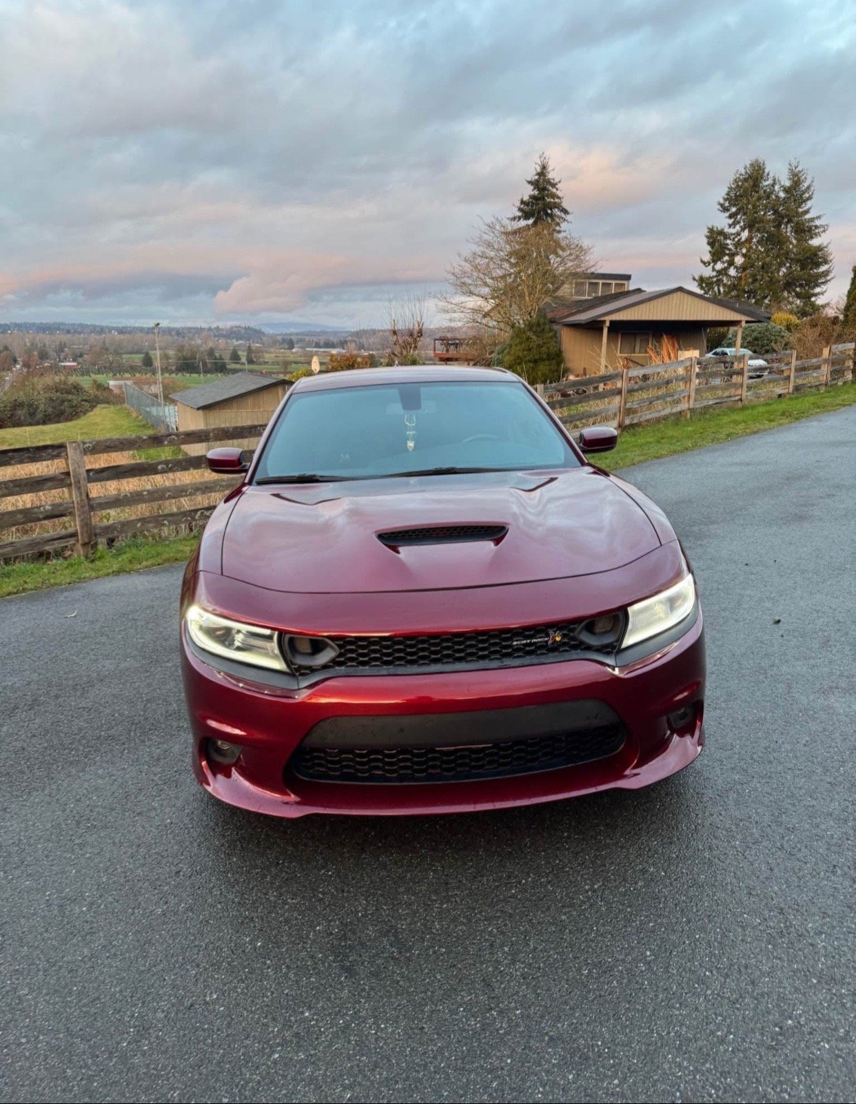 2019 Dodge Charger 392 Scat Pack in burgundy - Image 13