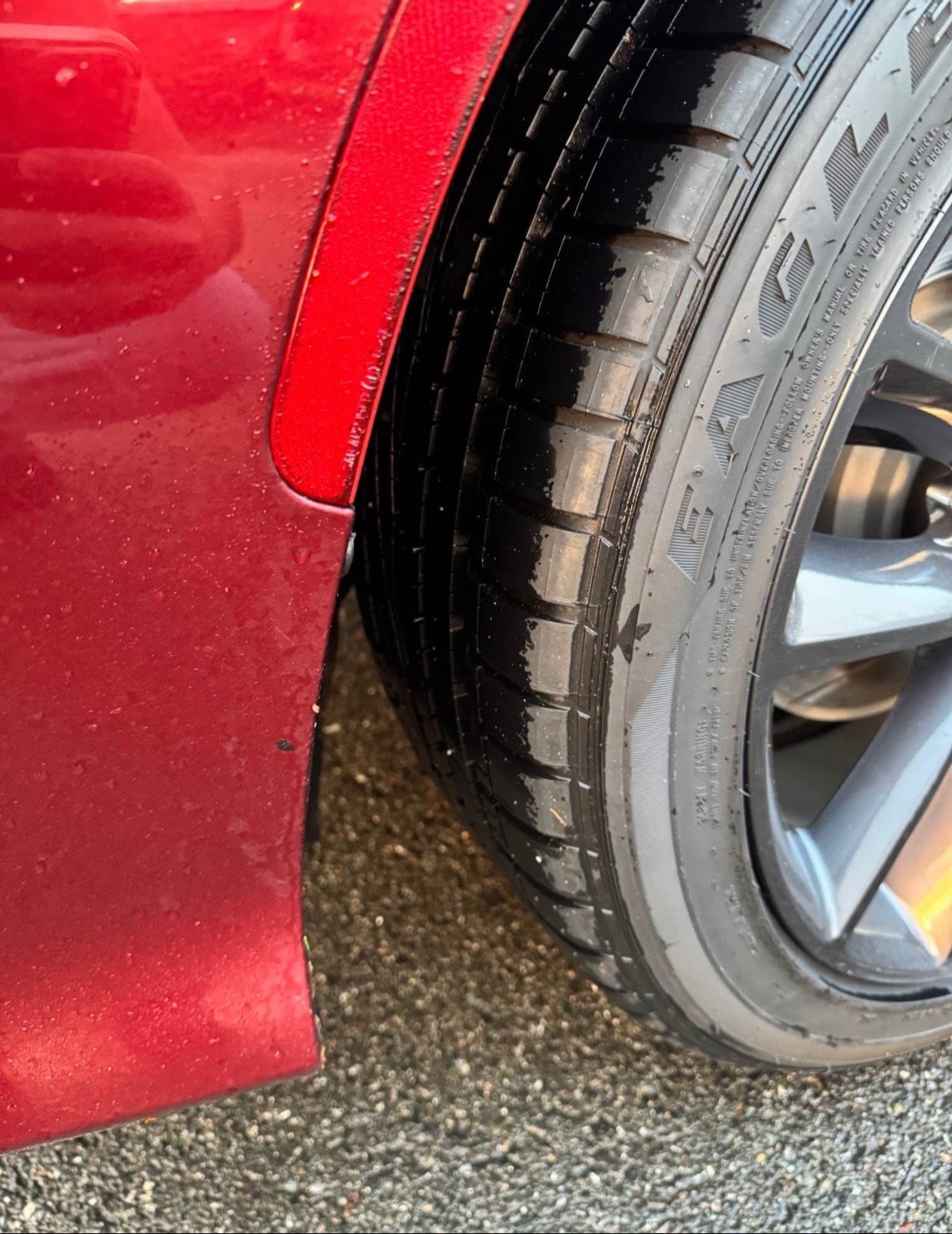 2019 Dodge Charger 392 Scat Pack in burgundy - Image 10