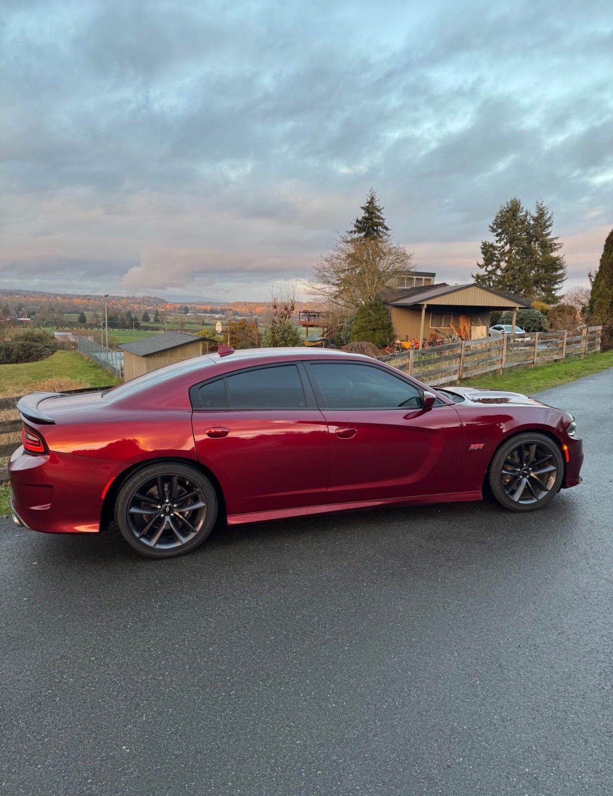 2019 Dodge Charger 392 Scat Pack in burgundy - Image 4