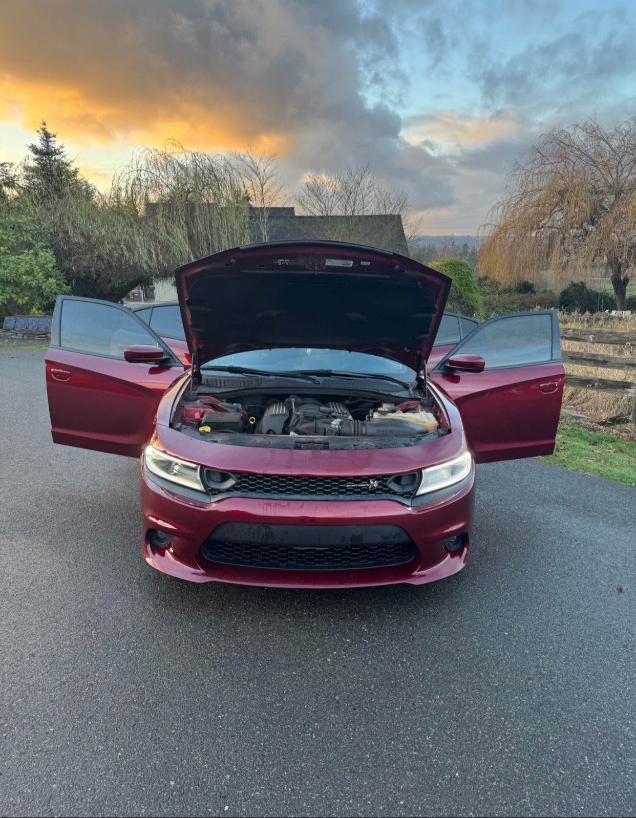 2019 Dodge Charger 392 Scat Pack in burgundy - Image 7