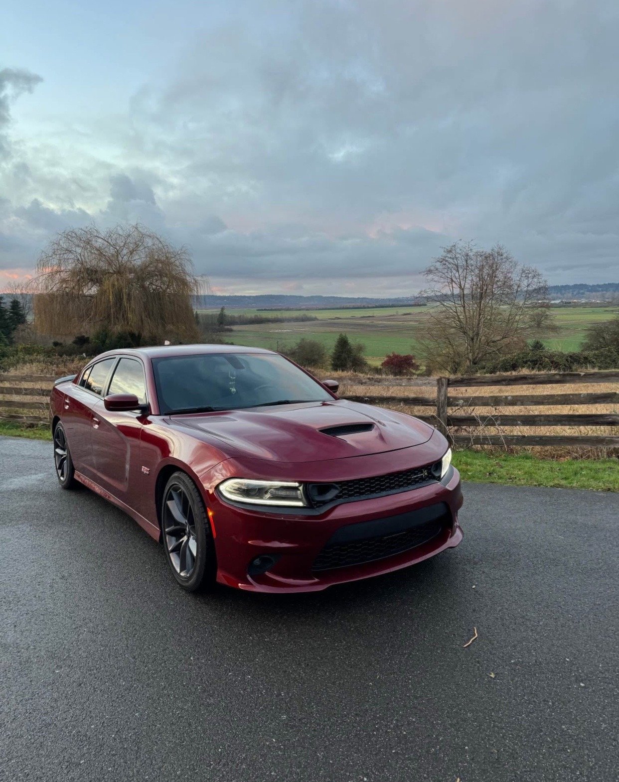 2019 Dodge Charger 392 Scat Pack in burgundy - Image 8