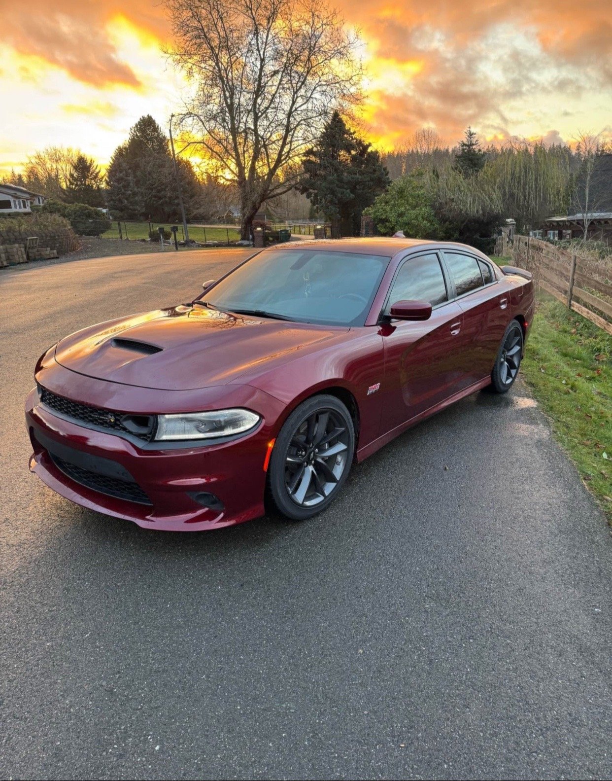 2019 Dodge Charger 392 Scat Pack in burgundy - Image 15