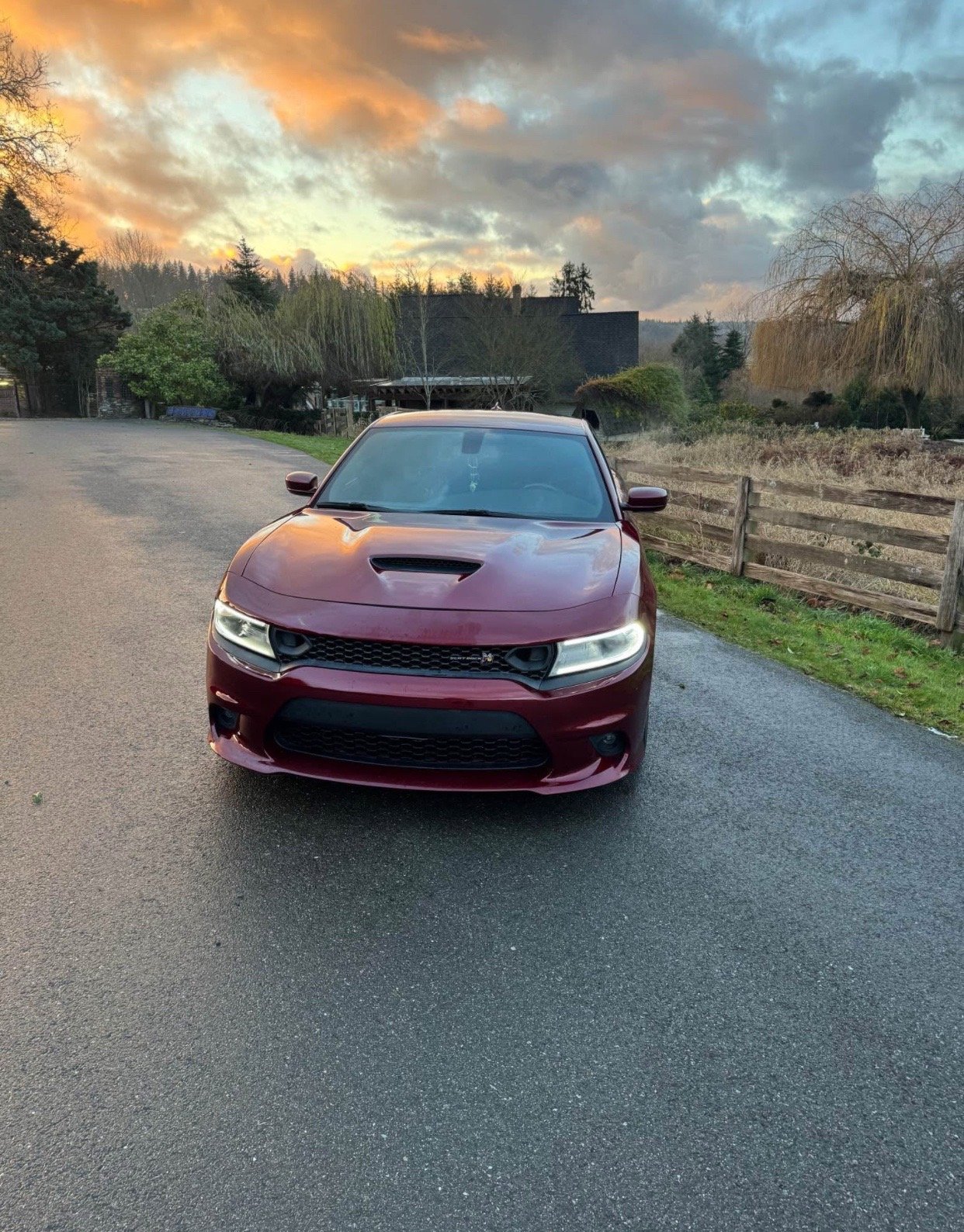 2019 Dodge Charger 392 Scat Pack in burgundy - Image 16