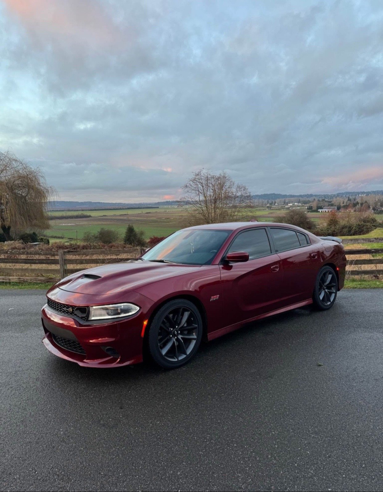 2019 Dodge Charger 392 Scat Pack in burgundy - Image 14