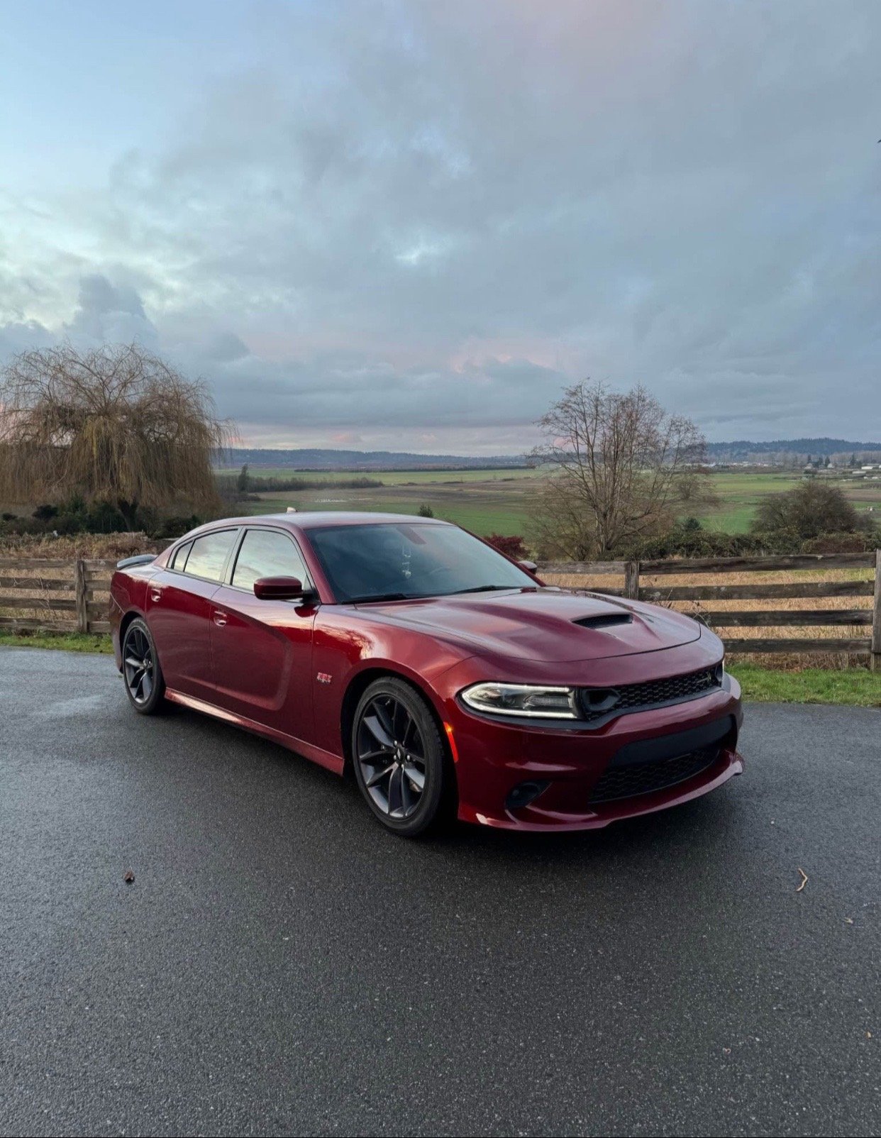 2019 Dodge Charger 392 Scat Pack in burgundy - Image 3