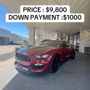 2019 Ford Mustang • Shelby
GT350