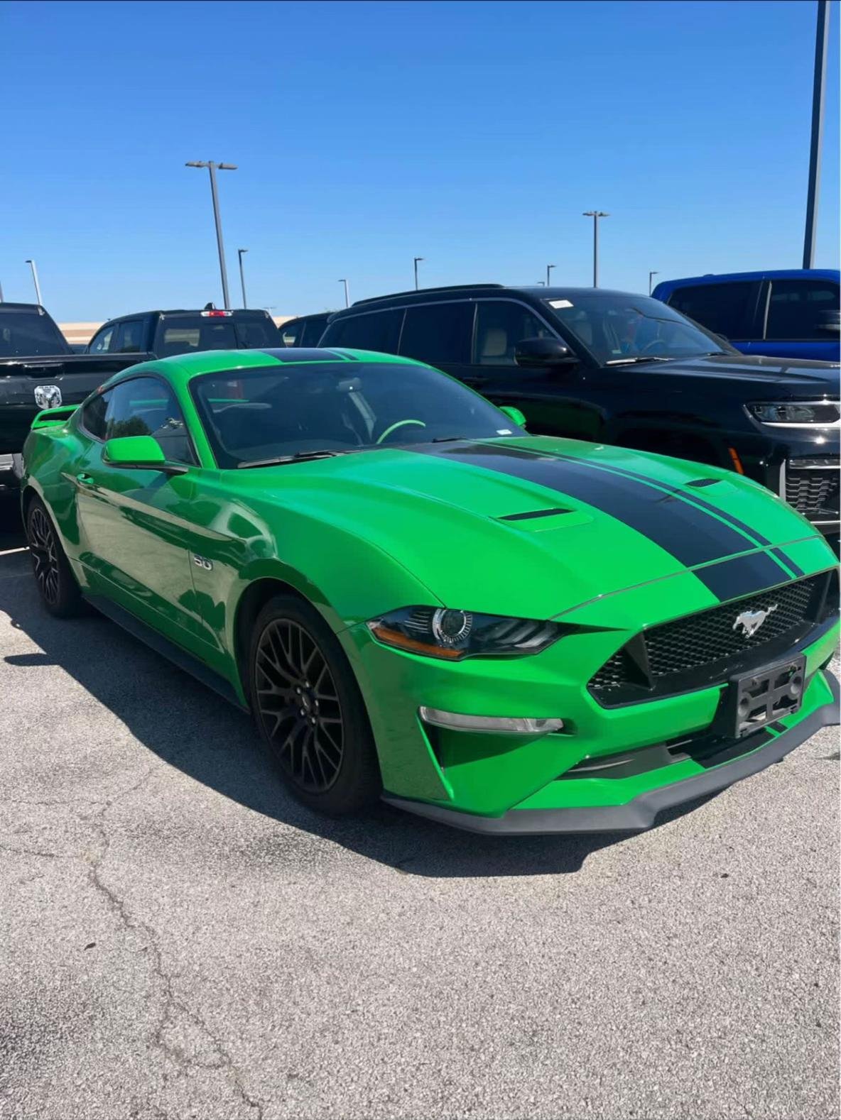 🔥 2019 Ford Mustang GT 🐎 5.0L V8 10 - Image 8
