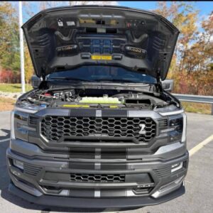 Alternative view of Make Ford Model F-150