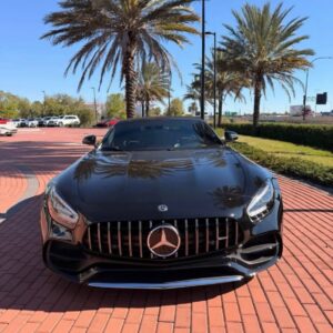 Alternative view of MercedesBenz2020