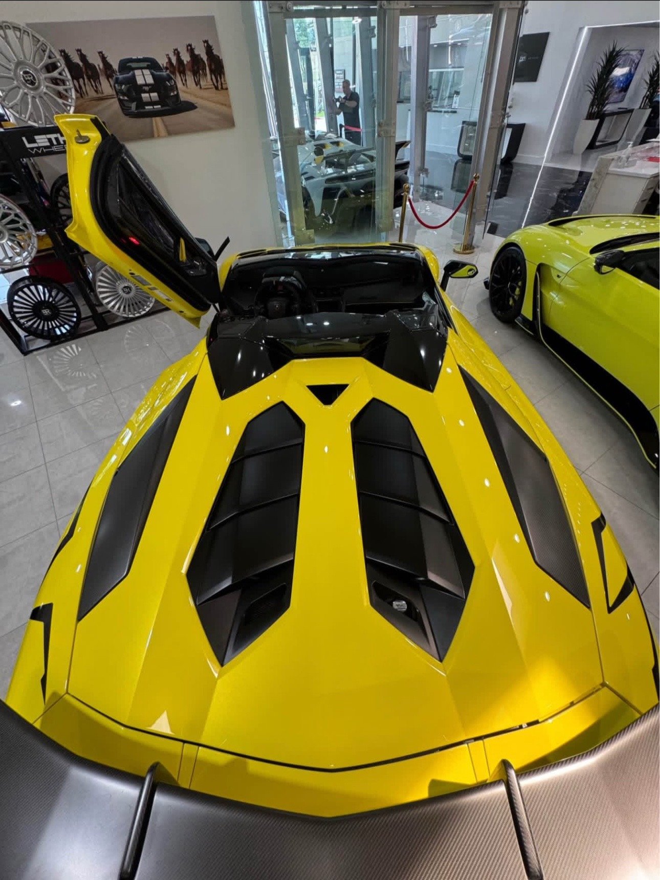 #2017Aventador - Image 4